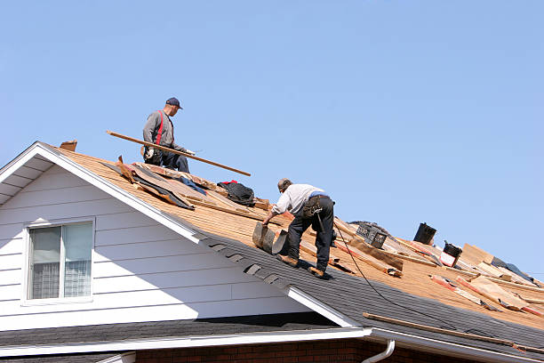 Best Rubber Roofing (EPDM, TPO)  in Lake Forest, IL
